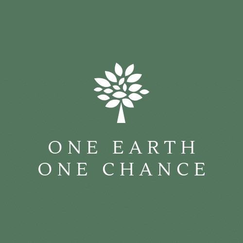 One Earth